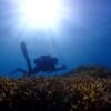 水深5000mってどんな世界？