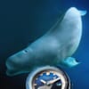 スピニカー　“HASS AUTOMATIC WHALE SANCTUARY PROJECT SECOND EDITION”