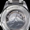 NEVEREST MT. FUJI SPECIAL EDITION