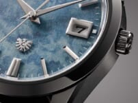 The CITIZEN 30th Anniversary Limited Edition Model