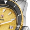 RADO（ラドー） Captain Cook（キャプテン クック）